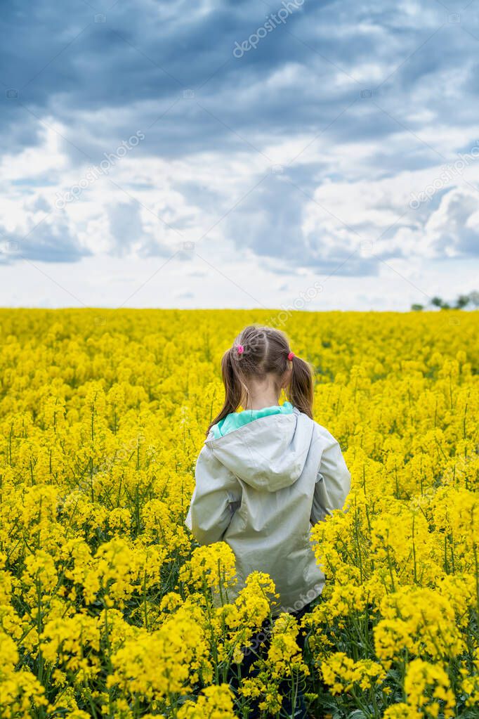 Close up rear view of a beautiful girl in a rapeseed field. A child in a blooming field with yellow flowers. 