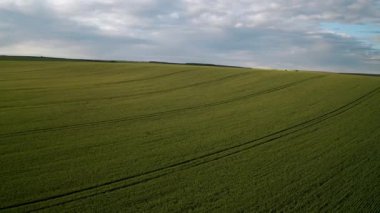 Gökyüzünde bulutlu mavi gökyüzünün arka planında yeşil yuvarlanan tarlaları olan güzel kırsal bölgelerin üzerinde insansız hava aracı uçuşu