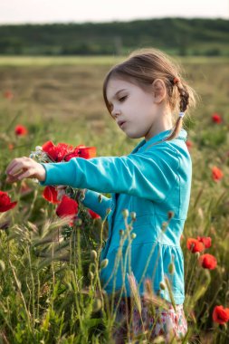 Bahar tarlalarının arasında. Çiçekli bir gelincik tarlasının arka planında güzel küçük bir kızın portresi.