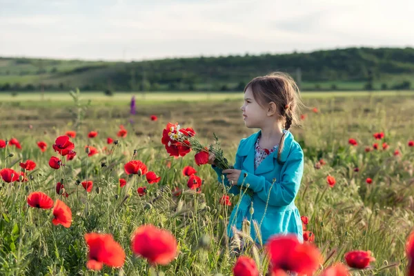Spring Field Portrait Beautiful Little Girl Background Blossomed Poppy Field — 图库照片
