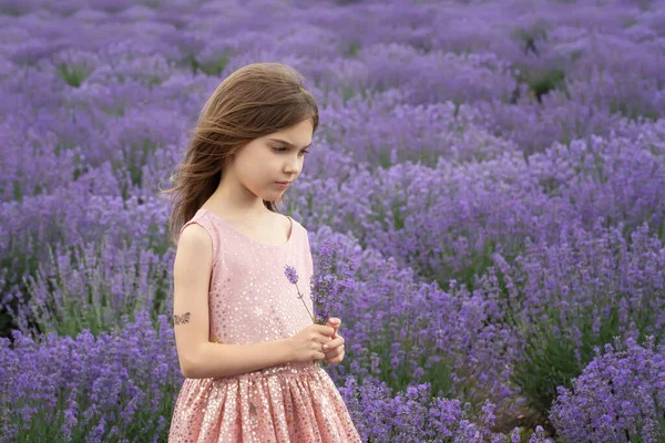 Beautiful Little Girl Pink Dress Enjoying Rows Blooming Lavender Field — 图库照片