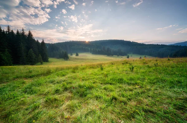 Utsikt Över Sista Solljuset Över Pittoreska Bergsäng — Stockfoto