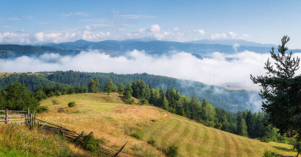 Amazing panoramic view with morning mists and low clouds over the tree-covered mountain slopes, Rhodope mountains in Bulgaria