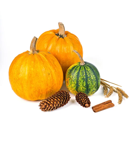 Autumn decoration — Stock Photo, Image