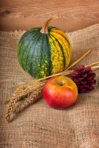 Autumn decoration — Stock Photo, Image