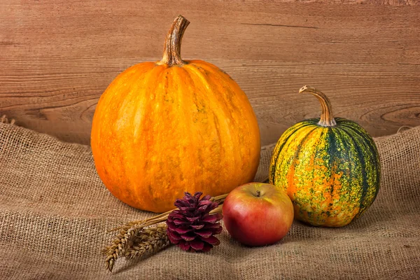 Autumn decoration — Stock Photo, Image