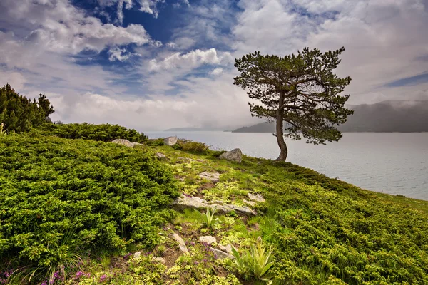 Uitzicht op het meer — Stockfoto