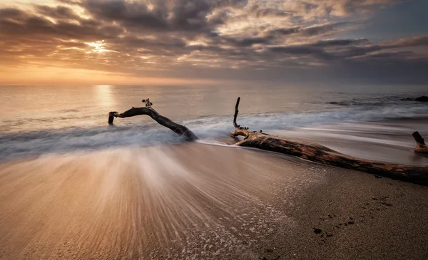Штормовой морской восход — стоковое фото