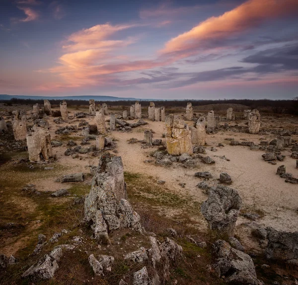 Floresta de pedra ao pôr do sol — Fotografia de Stock