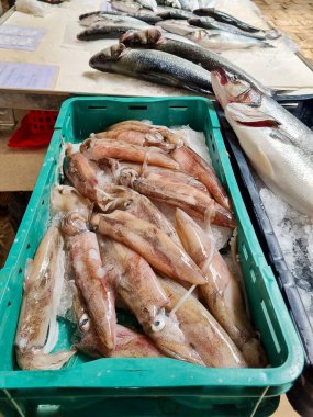Hırvatistan 'ın Split kentindeki balık pazarında satılığa çıkarılmış taze balık ve deniz ürünleri