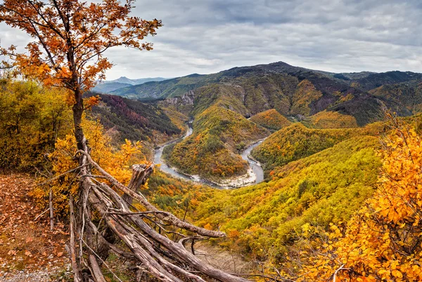Осенняя гора — стоковое фото