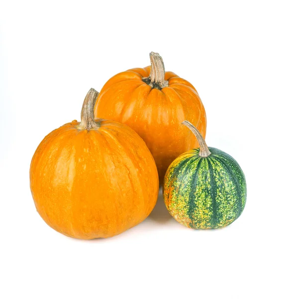 Pumpkins on white — Stock Photo, Image