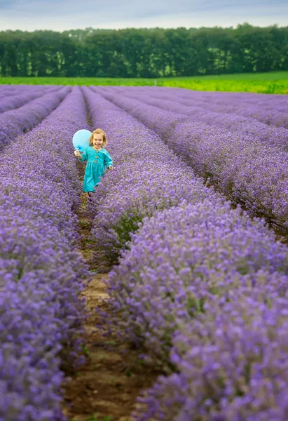 Das Lavendelmädchen — Stockfoto