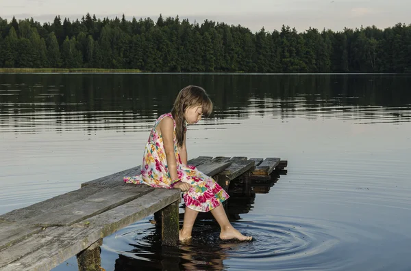 Já, jezero a dřevo — Stock fotografie