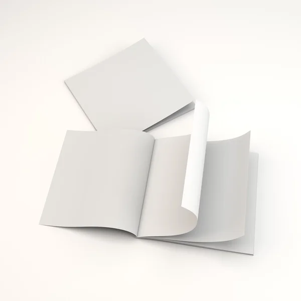 Cataloghi o opuscoli in bianco — Foto Stock