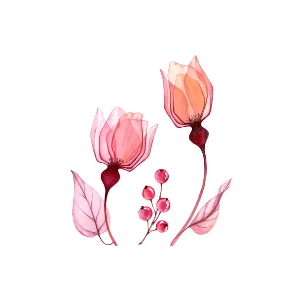 Acuarela floral engastada en rosa. Rosas y bayas transparentes aisladas en blanco. Colección botánica abstracta para tarjetas, diseño de bodas — Foto de Stock