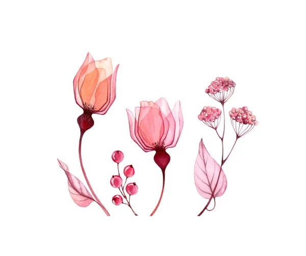 Conjunto floral aquarela. Coleção de pequenas rosas transparentes, folhas na cor rosa rubor. Design isolado pintado à mão. Ilustração botânica para o projeto do casamento, cartões de saudação — Fotografia de Stock