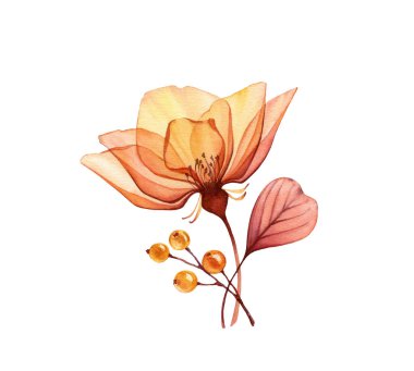 Suluboya gül buketi. Böğürtlen ve yapraklı şeffaf sarı çiçek beyaza izole edilmiş. Elle boyanmış klasik sanat eserleri. Kartlar için botanik illüstrasyon, düğün tasarımı