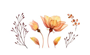 Suluboya çiçek seti. Sarı şeffaf gül, yaprak ve böğürtlen koleksiyonu. El yapımı izole tasarım. Düğün tasarımı için botanik illüstrasyon, tebrik kartları