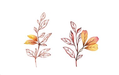 Suluboya çiçek seti. Sarı yapraklı dalların toplanması. El yapımı izole tasarım. Sonbahar tebrik kartları için botanik illüstrasyon