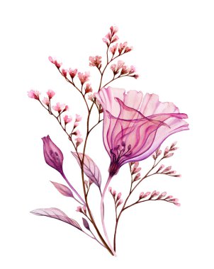 Suluboya buketi. Şeffaf Eustoma çiçeği ve beyaz dalları var. Elle boyanmış klasik sanat eserleri. Kartlar için botanik illüstrasyon, düğün tasarımı
