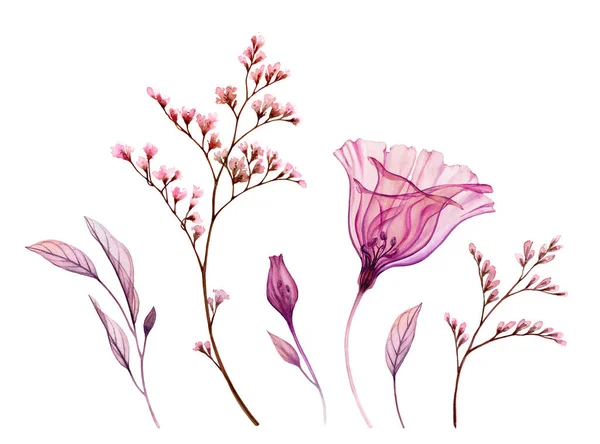 Aquarellblumen. Kollektion von transparenten ilusianthis Blume, Blätter, Pinsel in rosa Farbe erröten. Handgemaltes isoliertes Design. Botanische Illustration für Hochzeitsdesign, Grußkarten — Stockfoto
