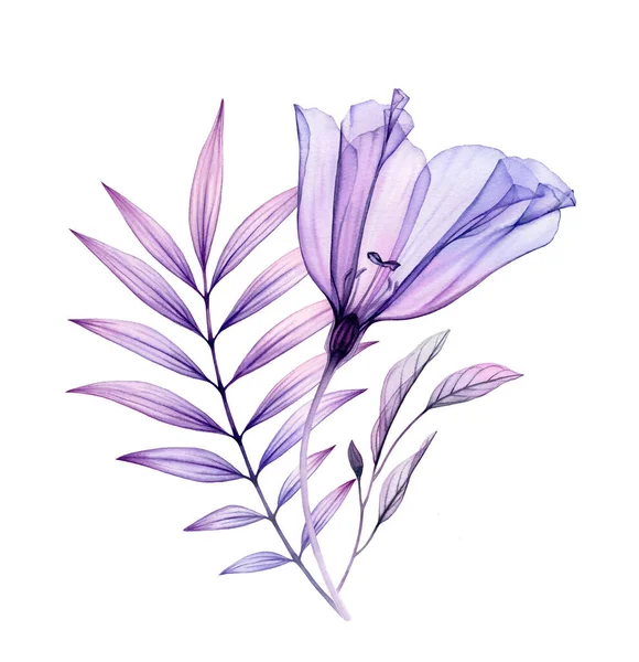 Акварель лисиантус букет. Ручная роспись с прозрачным фиолетовым цветком и фиолетовыми тропическими листьями, выделенными на белом. Ботаническая иллюстрация для открыток, свадебный дизайн — стоковое фото