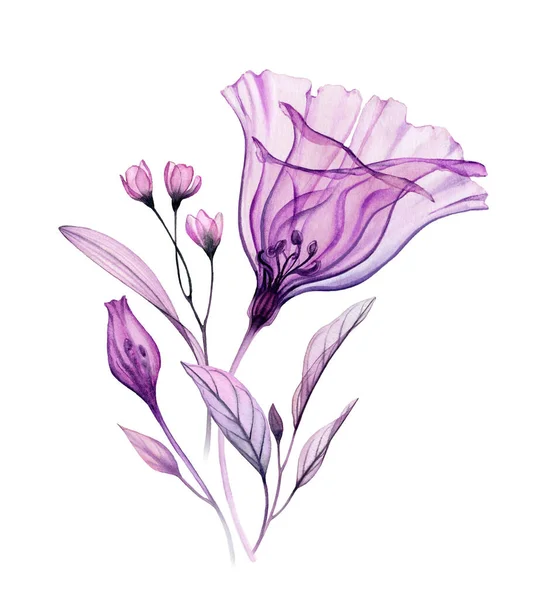 Arrangement floral aquarelle. Oeuvre peinte à la main avec fleur violette transparente et feuilles violettes isolées sur blanc. Illustration botanique pour cartes, conception de mariage — Photo