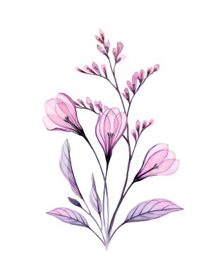 Suluboya Crocus buketi. Şeffaf bahar çiçekleri ve dallı el yapımı sanat eserleri. Kartlar için botanik illüstrasyon, düğün tasarımı