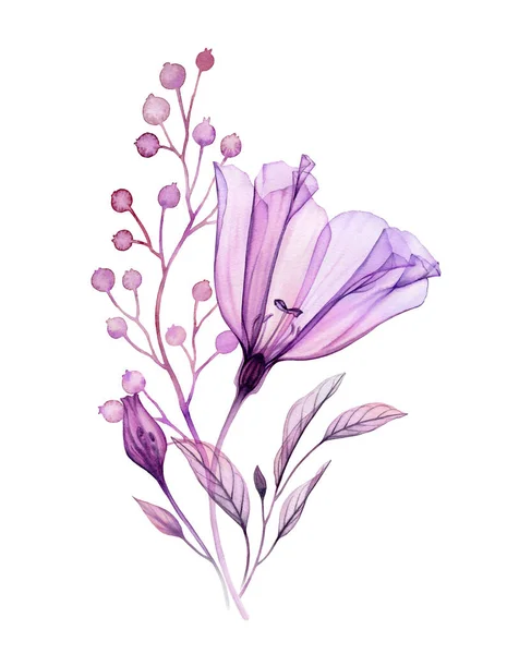 Watercolor floral bouquet in purple. Hand painted artwork with transparent violet flower and small berries isolated on white. Botanical illustration for cards, wedding design