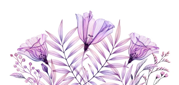 Акварельний квітковий банер у фіолетовому кольорі. Горизонтальна межа. Ручна розписана ілюстрація з прозорою фіолетовою квіткою і тропічним листям ізольовані на білому. Анотація ботанічної ілюстрації — стокове фото