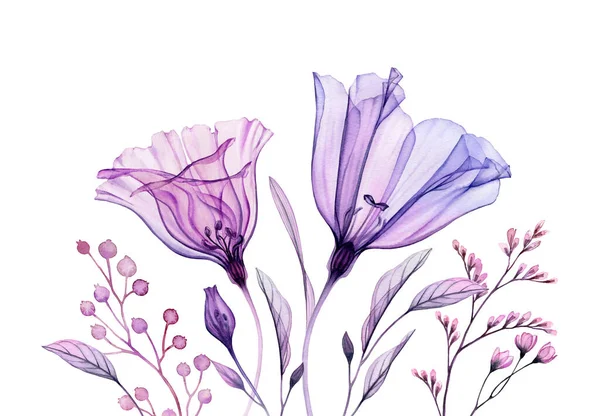 Oeuvre florale en violet. Bannière aquarelle. Bouquet peint à la main avec fleur violette transparente et feuilles isolées sur blanc. Illustration botanique résumé — Photo