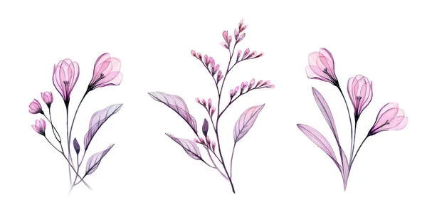Akvarell virágkészlet. Átlátszó virágok és levelek. Gyűjteménye három csokor elszigetelt fehér. Absztrakt botanikai illusztráció — Stock Fotó