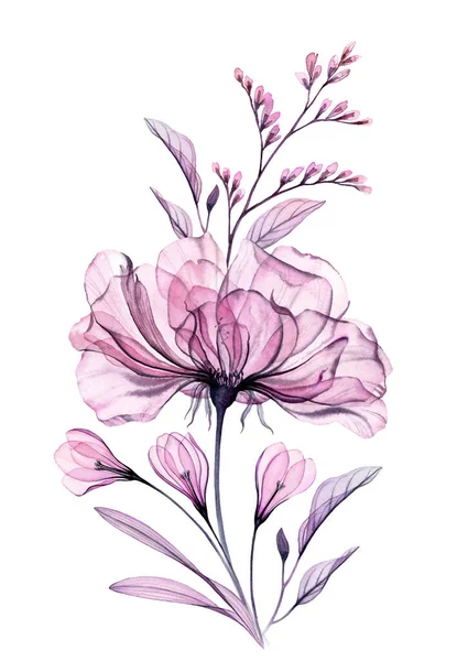 Букет з троянди акварелі. Вертикальна квіткова рамка. Велика рожева троянда з круповими квітами. Ручне розписане ботанічне мистецтво. Ізольована абстрактна ілюстрація в пастельно-сірому, фіолетовому, фіолетовому — стокове фото