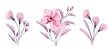 Suluboya buket. Soyut şeffaf orkide çiçekleri, zarif dallar ve tozlu pembe ve mor yapraklar. Düğün kâğıdı baskısı için izole edilmiş el çizimi botanik illüstrasyon.