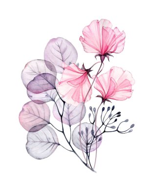 Suluboya çiçek kompozisyonu. Okaliptüs dalı ve böğürtlenli şeffaf bezelye buketi. Sanat eseri beyazda izole edilmiş. Botanik el resimleri düğün davetiyeleri ve tebrik kartları için..