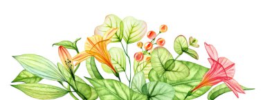 Tropik çiçeklerle suluboya kompozisyonu. Şeffaf portakal çiçekleri, zambak ve okaliptüs yaprakları ile yatay arka plan. Pankartlar ve düğün tasarımı için botanik yatay çizimler.