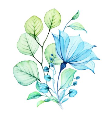 Şeffaf Bell Çiçeği buketi. Büyük mavi yapraklı suluboya kompozisyon ve okaliptüs yaprakları. Turkuaz çiçekli soyut resim. Elle boyanmış canlı çizimler.