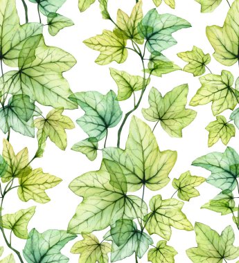 Şeffaf sarmaşık yaprakları kusursuz çiçek desenleri bırakır. Suluboya yeşil dallar ve beyaz arka planda yapraklar. Duvar kağıtları, tekstil ve kumaş için izole edilmiş el yapımı tasarım. Yüksek kaliteli illüstrasyon