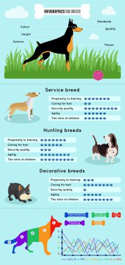 Köpek Infographics yetiştirmek