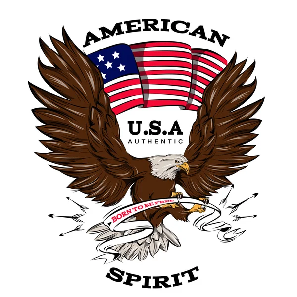 Spirit Of USA Emblem — Stock Vector