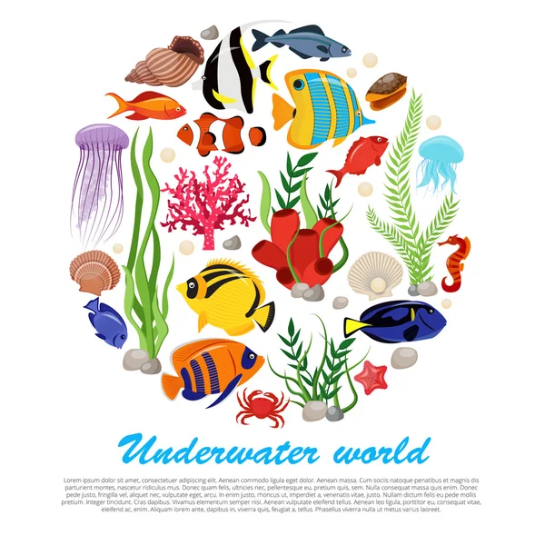 Sea Life Poster — Stock Vector