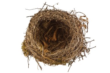 boş kuş yuvası beyaz arkaplanda izole edildi