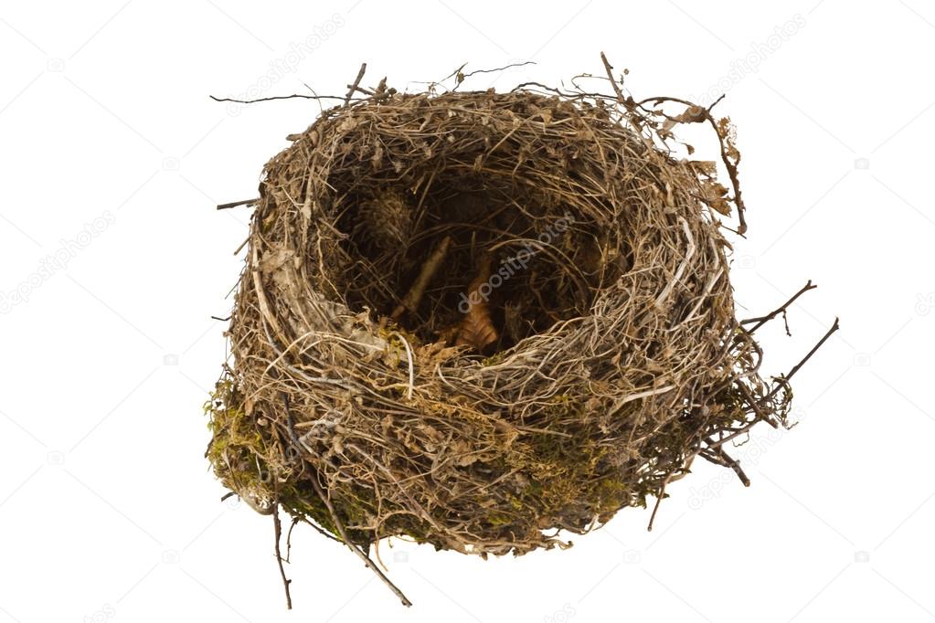 Empty bird nest isolated on white background