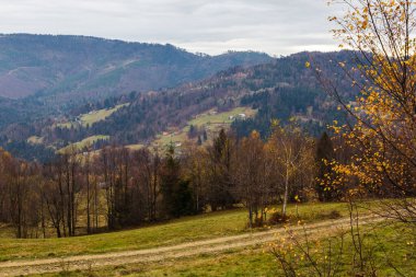 Beskids dağlarının muhteşem sonbahar manzarası. Polonya 'da Beskid Zywiecki' deki dağ patikaları.