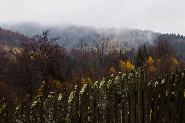 Beskids Dağlarının Muhteşem Sonbahar Manzarası Polonya Beskid Zywiecki Deki Dağ — Stok fotoğraf