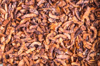 Soya soslu hindistan cevizi cipsi ve füme paprika, vejetaryen pastırması..