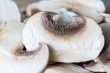 Makro beyaz mantar ikiye bölünmüş. Sığ alan derinliği. 