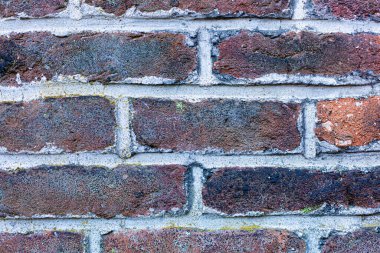 Eski tuğla duvar. Tuğla. Tuğlada koyu beyaz boya.
