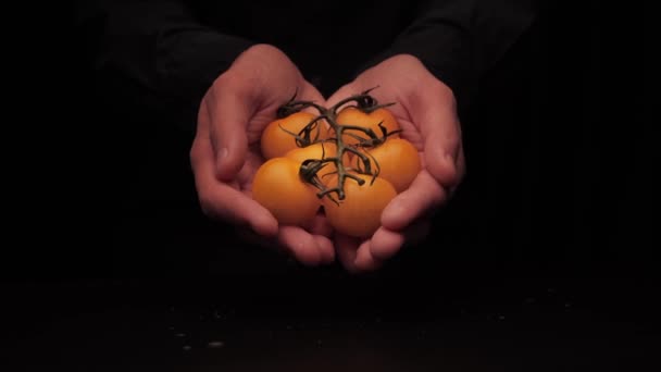 Mens mãos oferecem para segurar pequenos tomates cereja amarelos em um fundo escuro — Vídeo de Stock
